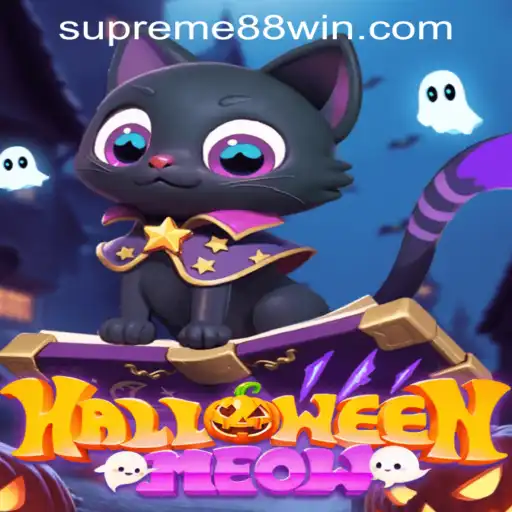 HalloweenMeow: A Thrilling Adventure Awaits